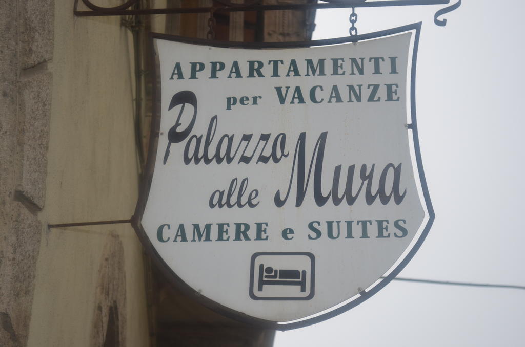 Palazzo Alle Mura Staggia Rum bild